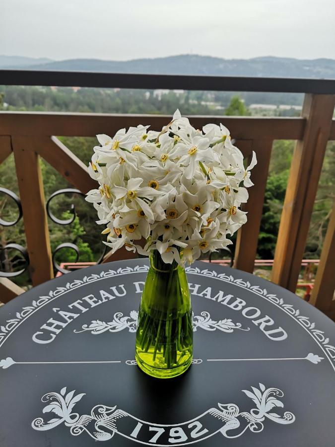 Katun Apartmani & Spa Дивчибаре Экстерьер фото